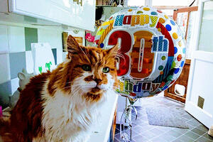 Mačku dobila 1988, ali nije očekivala da će joj slaviti 30....