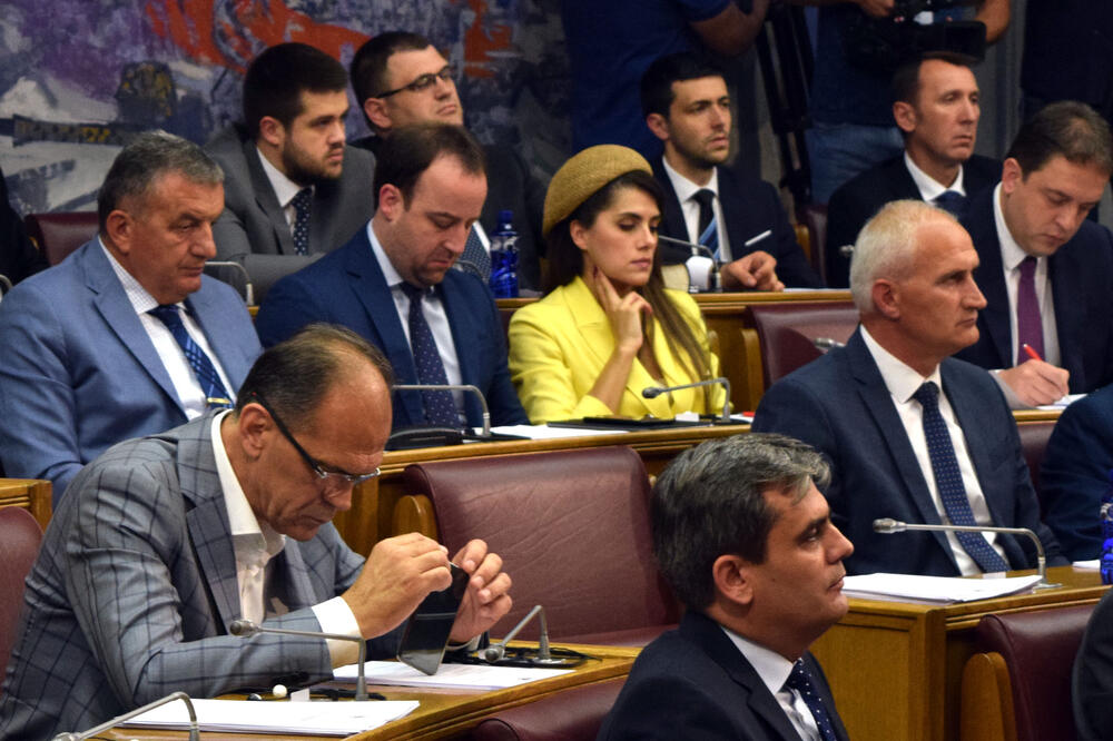 Poslanici vladajuće koalicije, Foto: Luka Zeković
