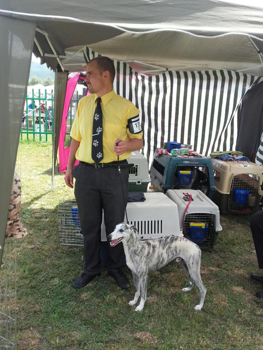 izložba pasa Berane