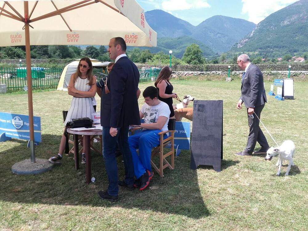 izložba pasa Berane