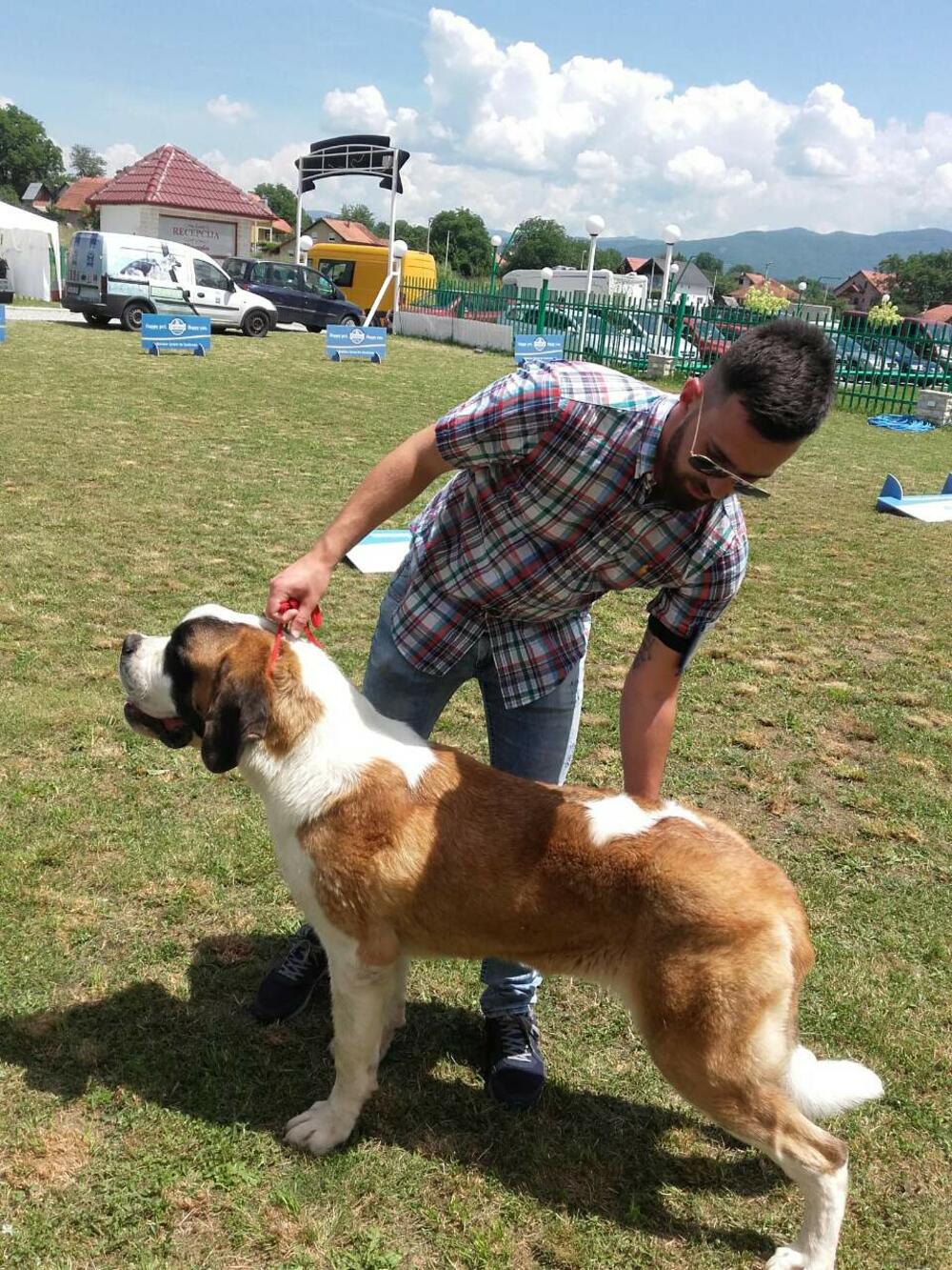 izložba pasa Berane