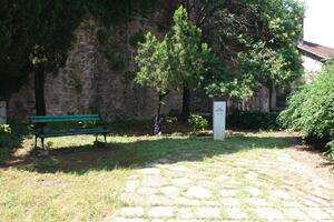 Herceg Novi: Pala bista književnika Sima Matavulja