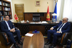 Darmanović: Deklaracija dodatan podstrek za sprovođenje...