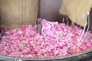 Pogledajte kako se pravi najpoznatiji parfem na svijetu