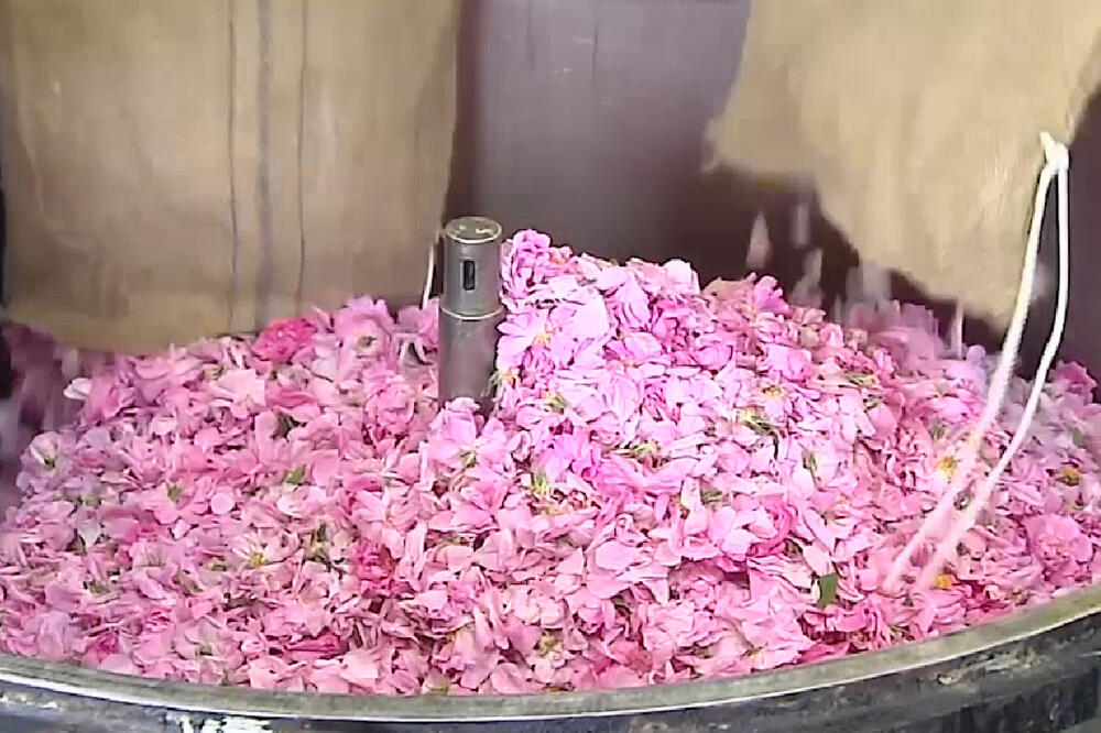 Chanel No5, Foto: Printscreen (Vijesti video)