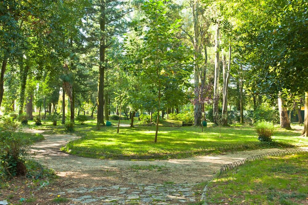 Gradski park, Tivat, Foto: Siniša Luković