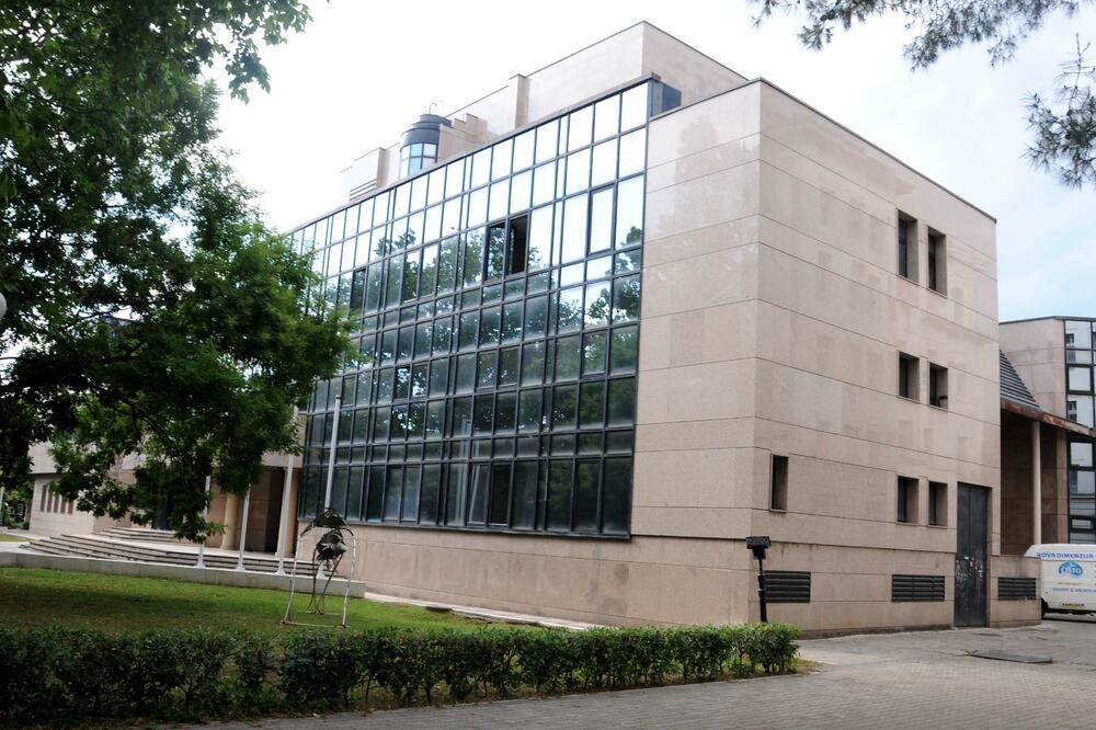 CNP, Foto: Boris Pejović