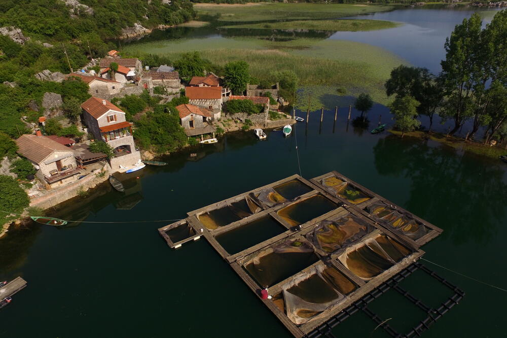 Karuč, Foto: Privatna arhiva