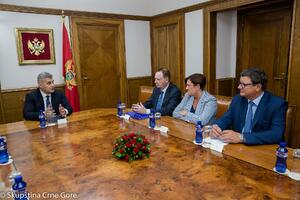 Brajović: Crnoj Gori potrebna podrška država EU