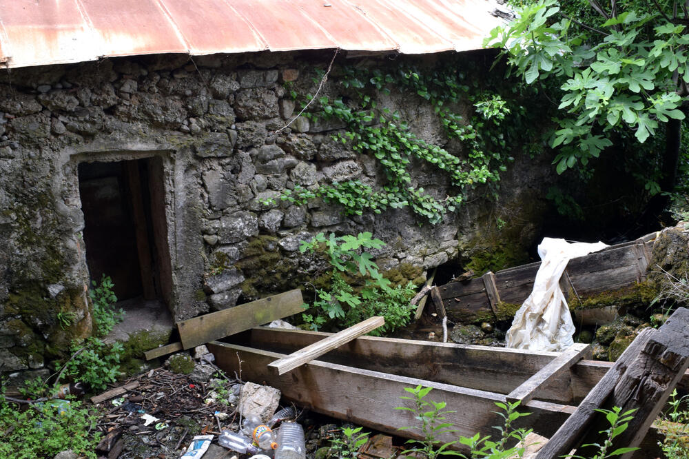 Mlin Pera Tokova, Foto: Luka Zeković