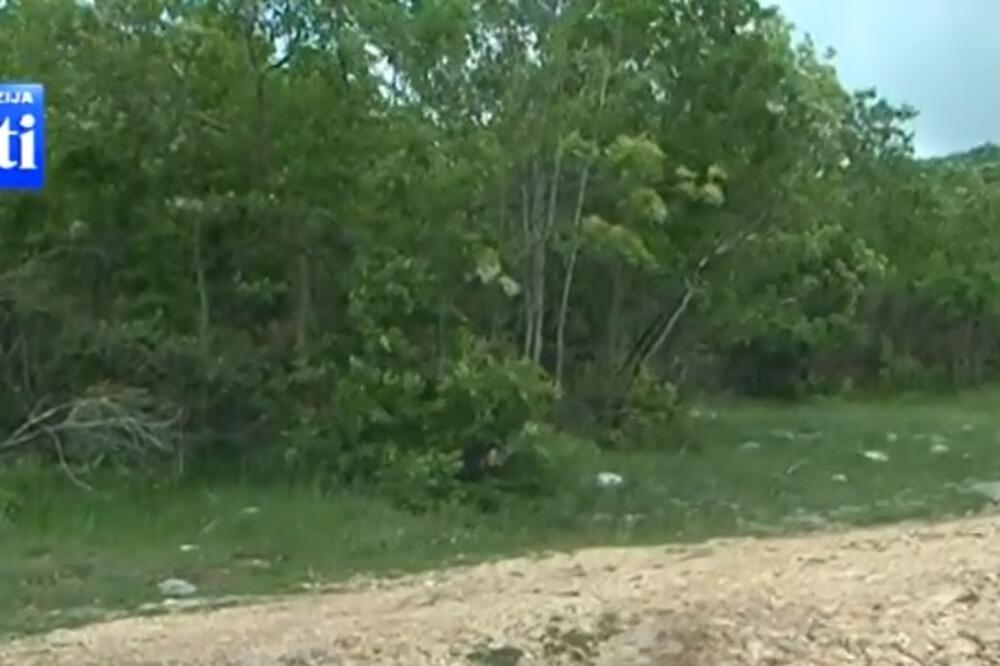 Gornji Orah, Foto: Screenshot (TV Vijesti)