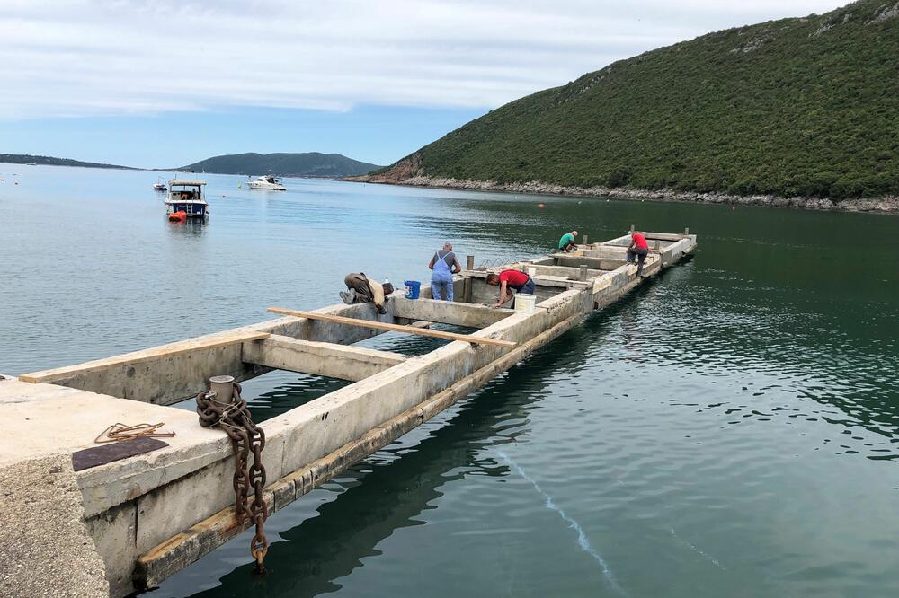 Pristanište Žanjice, Foto: Slavica Kosić