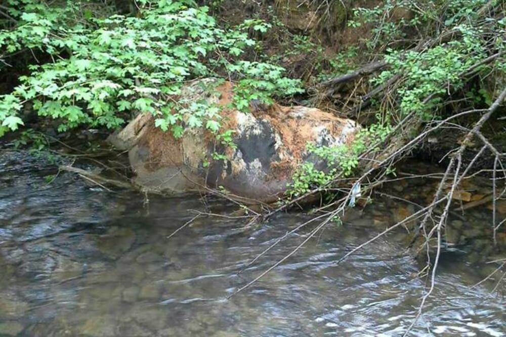 leš krave, Ćehotina, Foto: SRK “Lipljen”