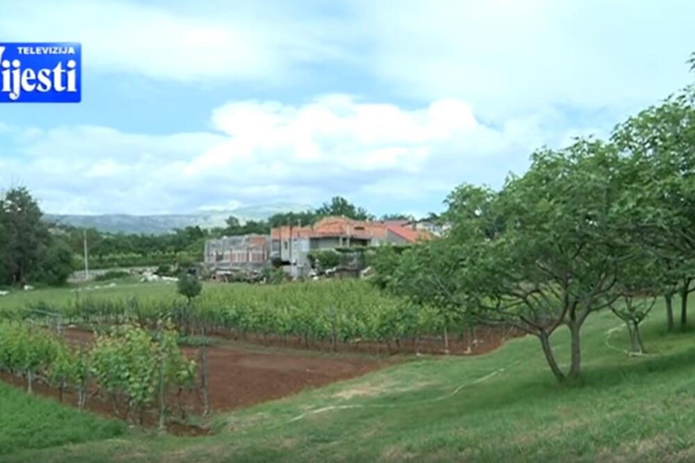 Gornji Vranići, Foto: Screenshot(TvVijesti)