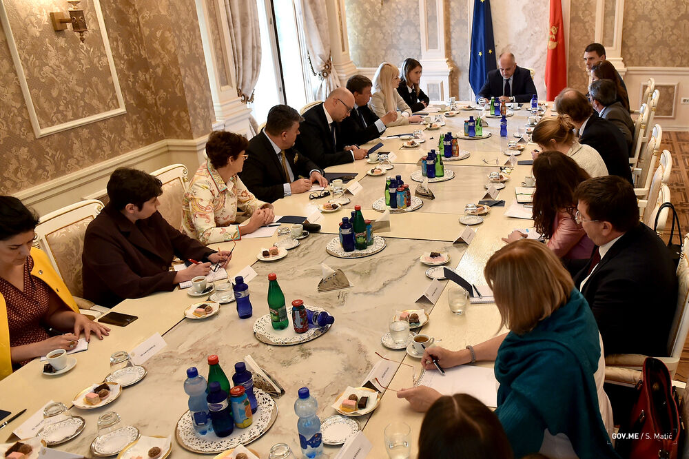 Srđan Darmanović, Foto: Gov.me/S. Matić