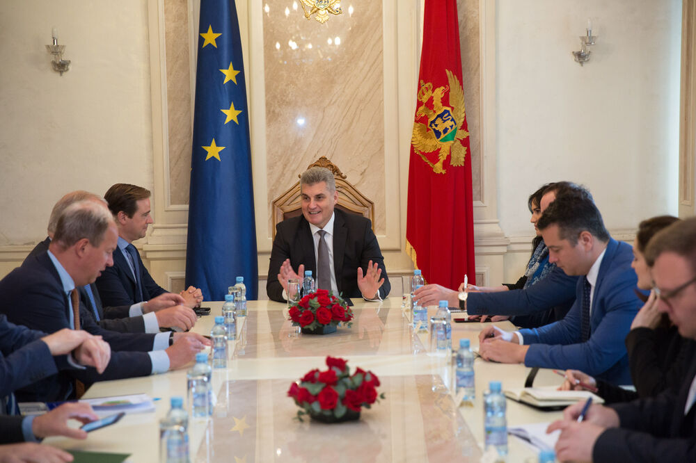 Ivan Brajović, holandski parlamentarci, Foto: Skupština Crne Gore