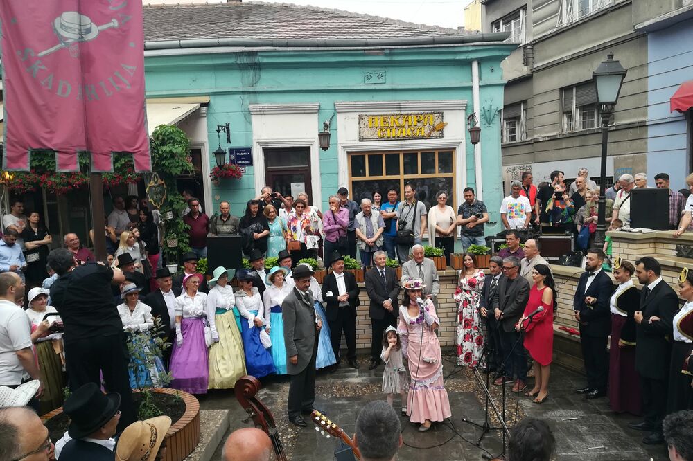 Herceg Novi, Zlatno turističko srce, Foto: Opština Herceg Novi