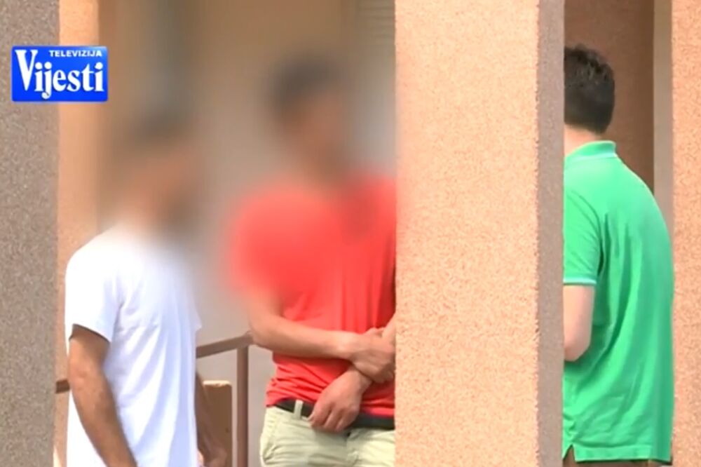 Azilanti Spuž, Foto: Screenshot (Youtube)