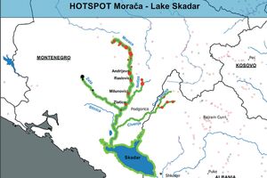 Elektrane pogubne po živi svijet u Morači i Skadarskom jezeru