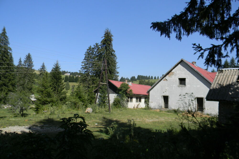 Šumarsko preduzeće, Foto: Goran Malidžan
