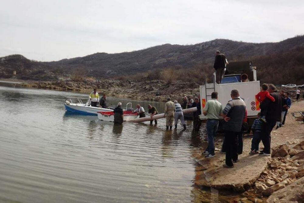 poribljavanje, Nikšić, Foto: SRK "Nikšić"