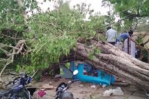 Raste broj žrtava: Najmanje 125 poginulih u pješčanoj oluji u...