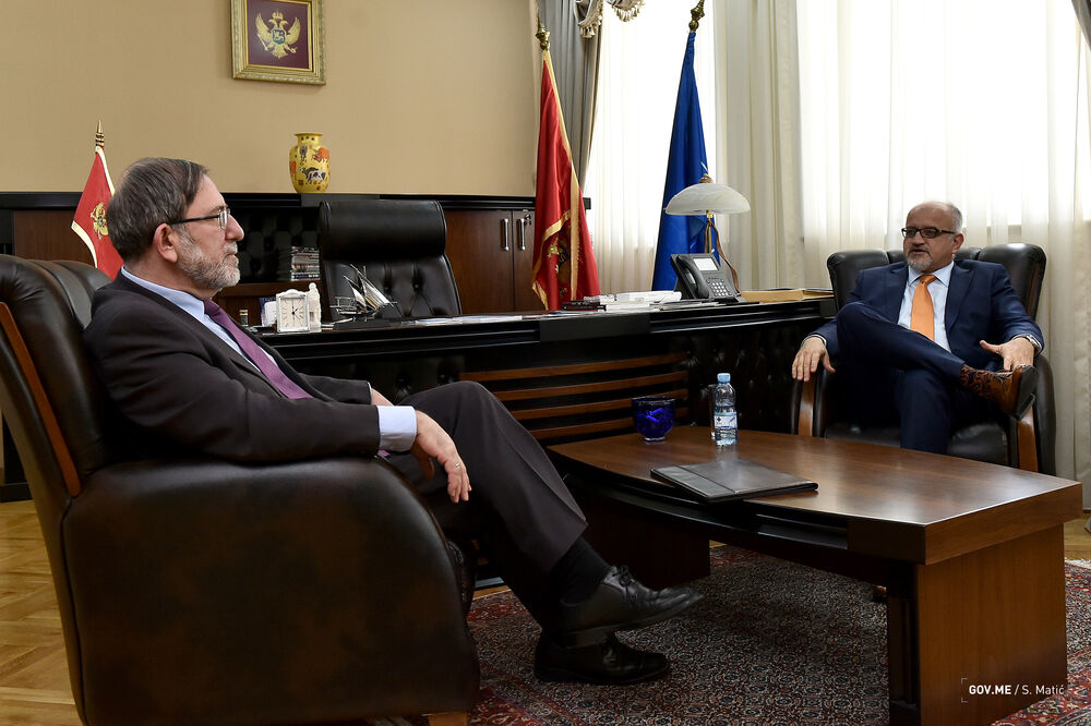 Srđan Darmanović, Venecijanska komisija, Foto: Ministarstvo vanjskih poslova