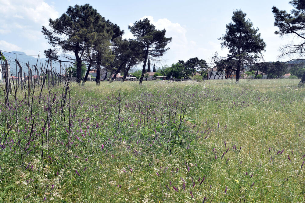 Zagorič plac, Arapi, Foto: Borko Ždero
