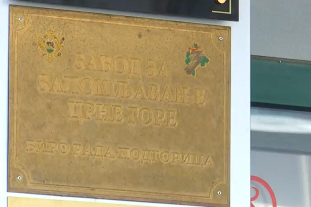 ZZZCG, Zavod za zapošljavanje, Foto: Screenshot (Youtube)