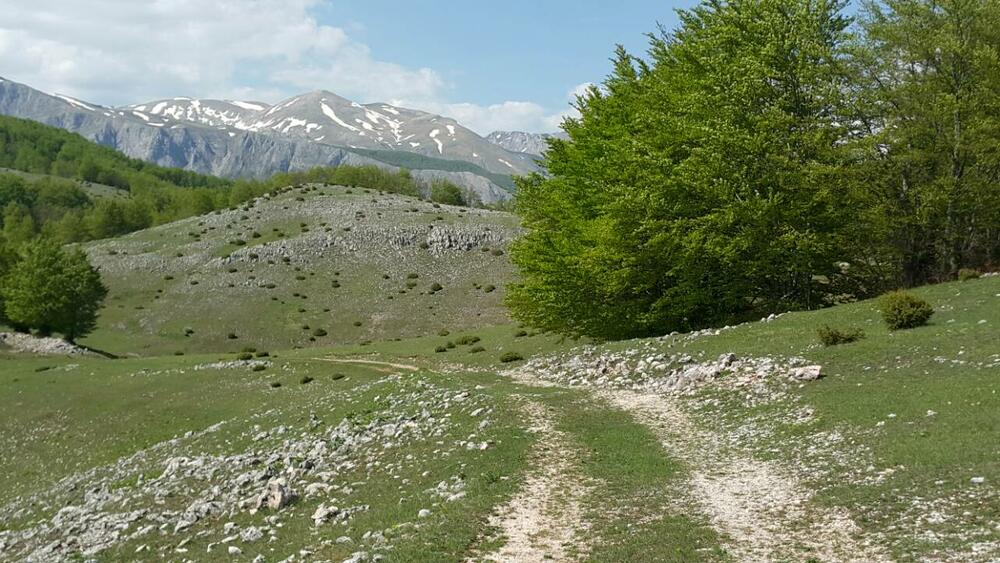 Piva, vremenska prognoza