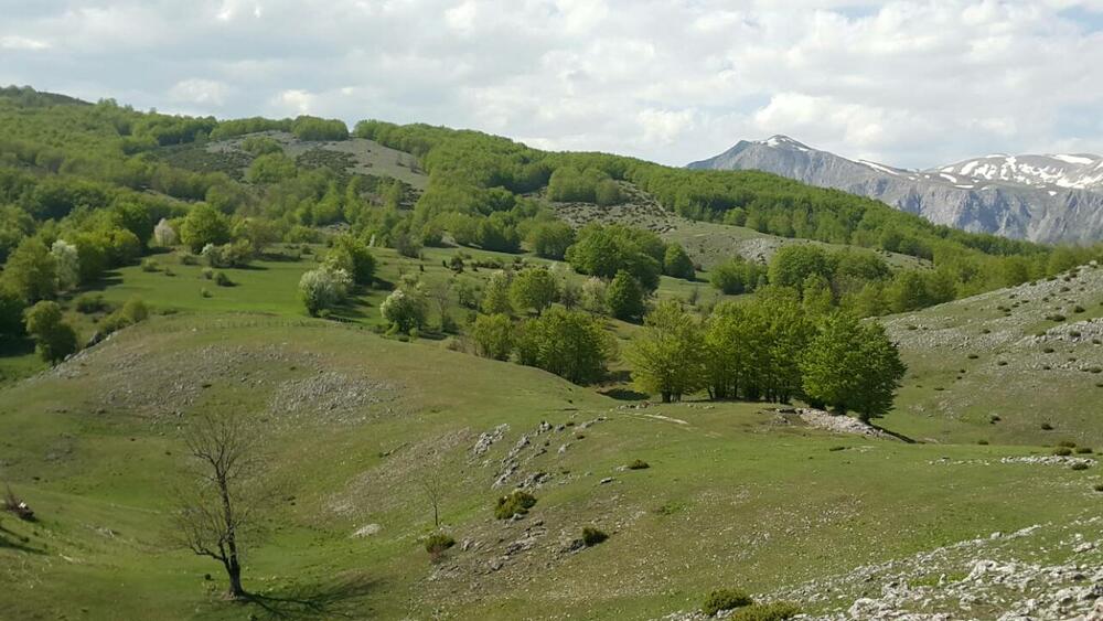 Piva, vremenska prognoza