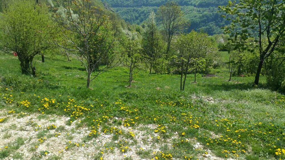 Piva, lijepo vrijeme