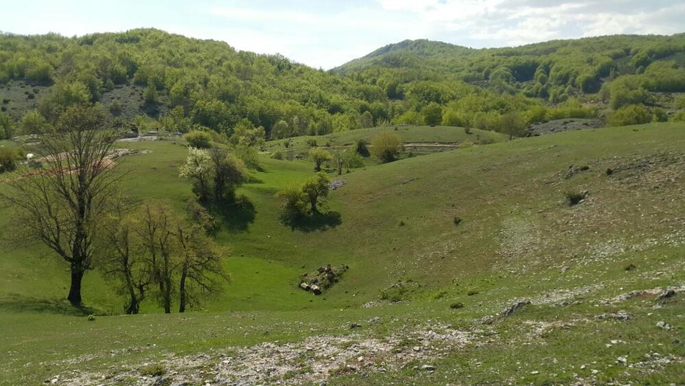 Piva, vremenska prognoza