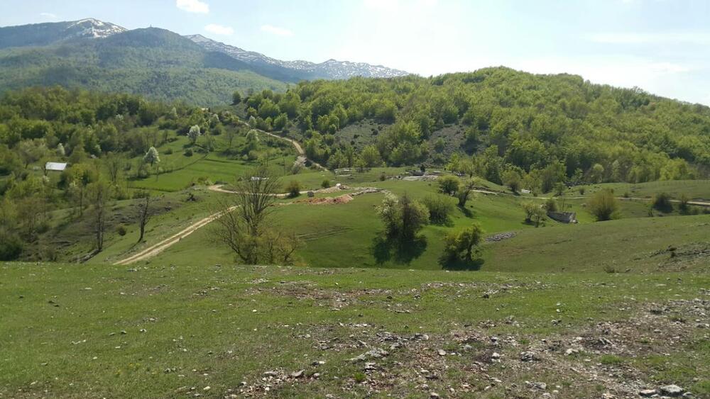 Piva, vremenska prognoza