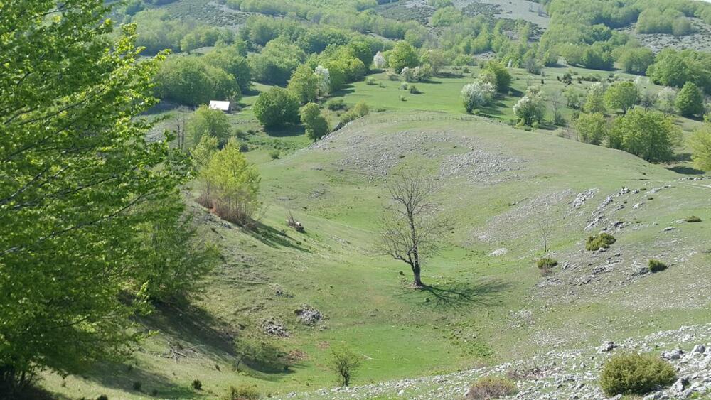 Piva, vremenska prognoza