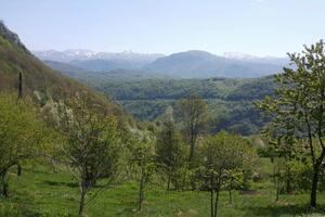 Sunčano, do 31 stepen