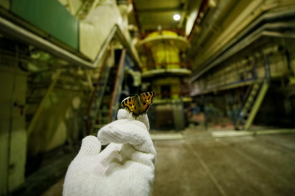 Černobilj, Foto: Reuters