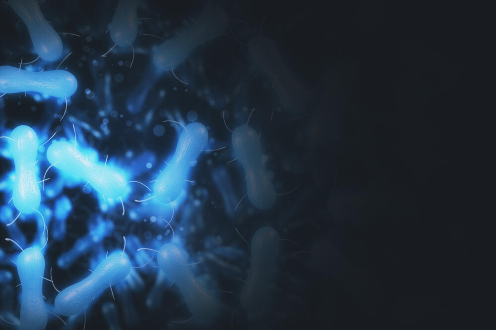 salmonela, Foto: Shutterstock