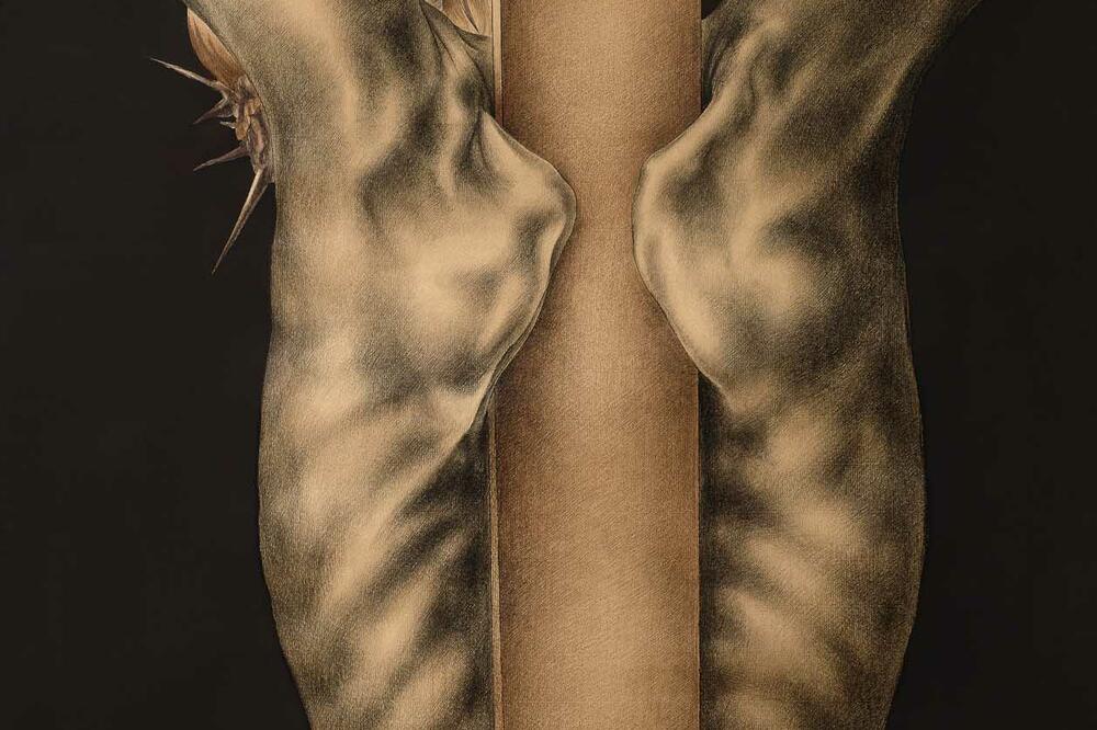 Raspeće Dimitrije Popović, Foto: Privatna arhiva