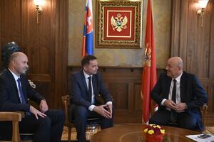 Nema kontrole budžeta po slovačkom modelu