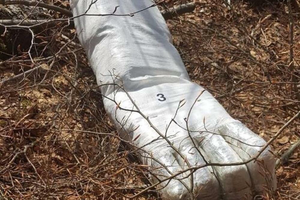 Marihuana, Foto: Uprava policije