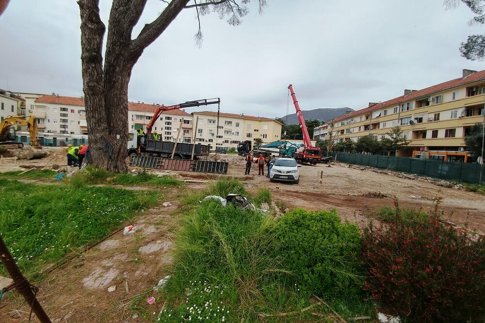 Mimoza grupa Tivat, Foto: Siniša Luković