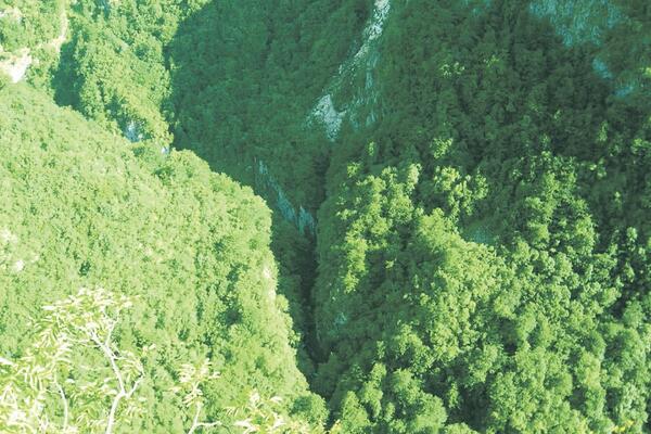 "Green Home": Velikog napretka nije bilo, neke ocjene poražavajuće