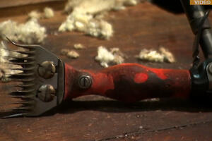 Sve manje ljudi želi ovaj dobro plaćen posao