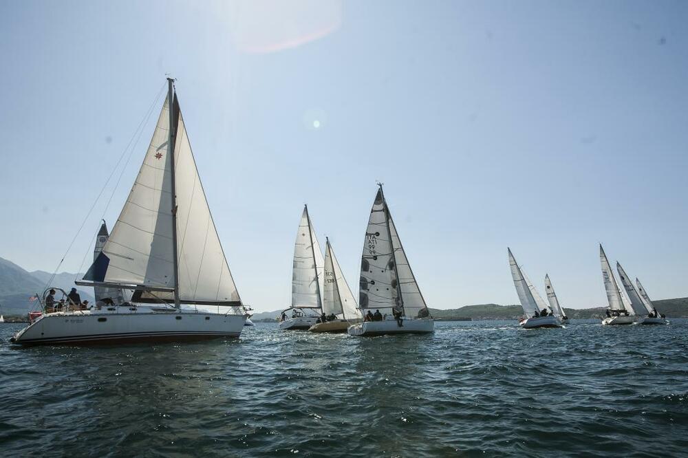 Tivatska regata, Foto: Siniša Luković
