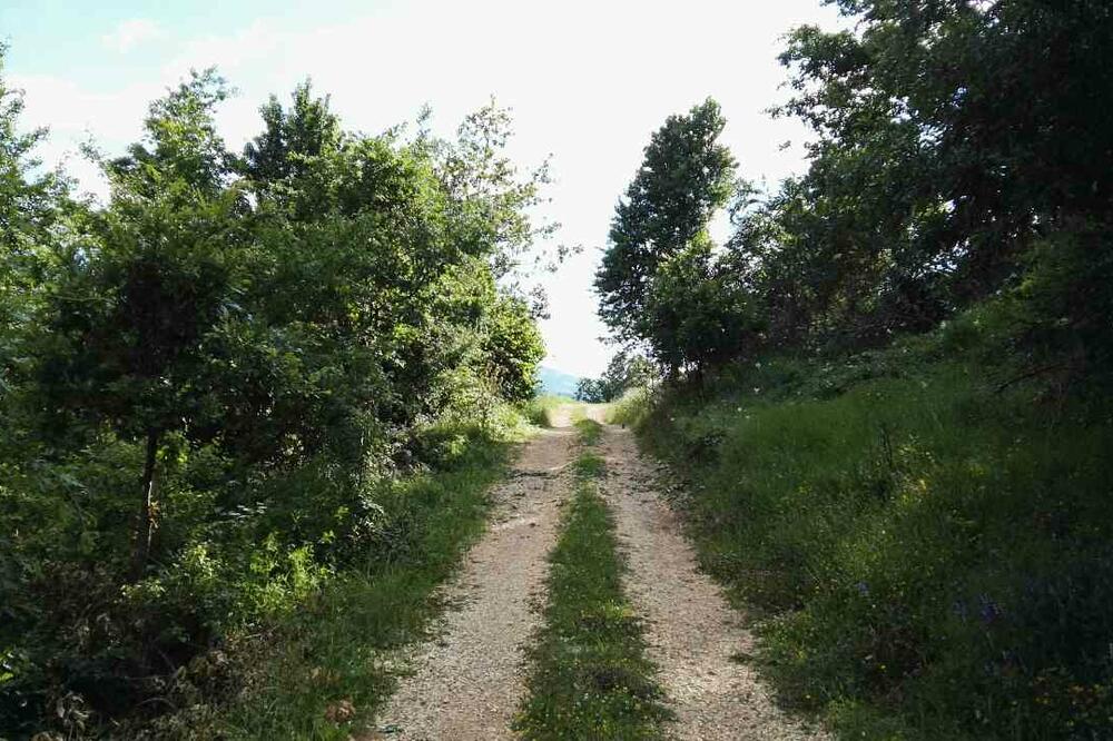 vremenska prognoza, priroda, Piva, Foto: Dušan Cicmil