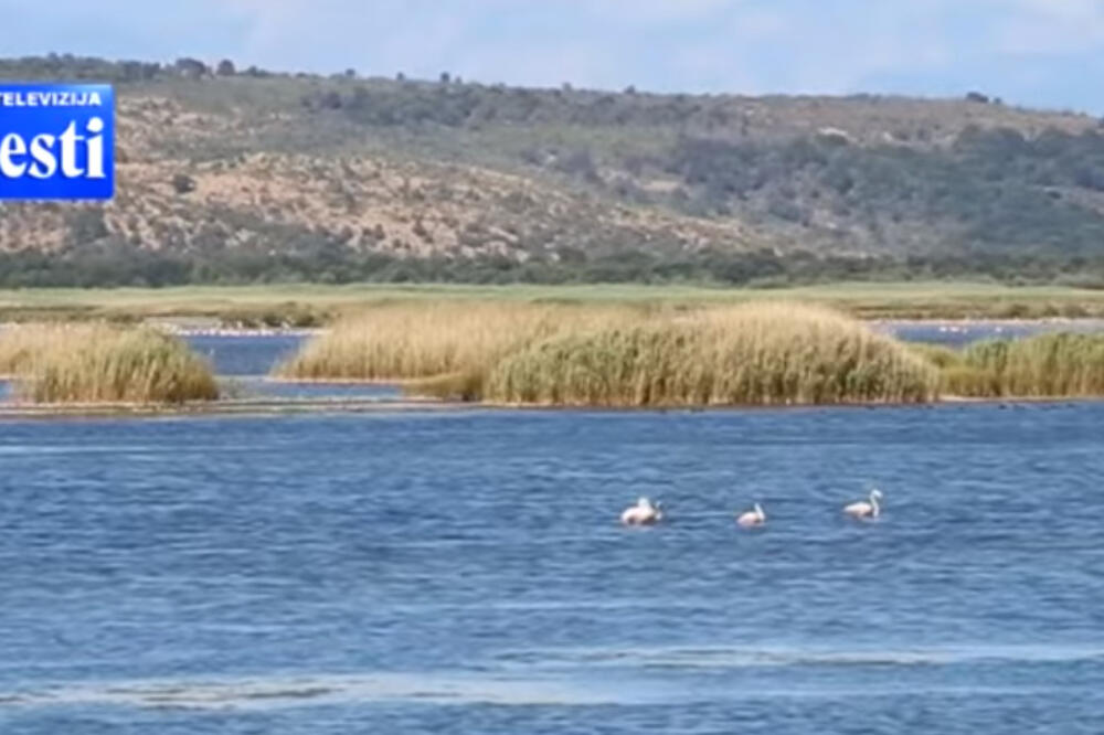 solana Ulcinj, ulcinjska solana, Foto: Screenshot (TV Vijesti)