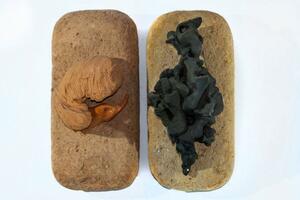 Priroda podstiče sklad misli i kreativnost