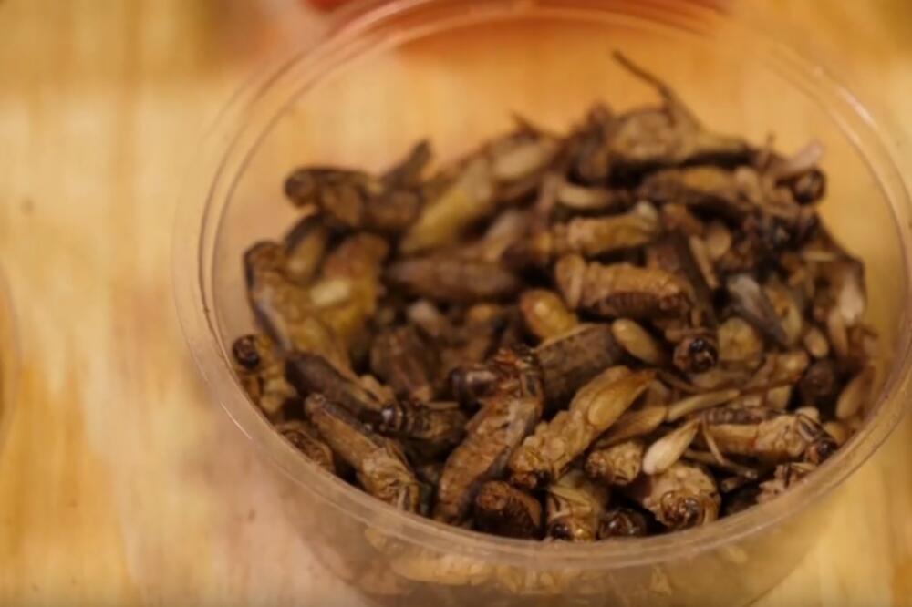 sušeni cvrčak, Foto: Printscreen