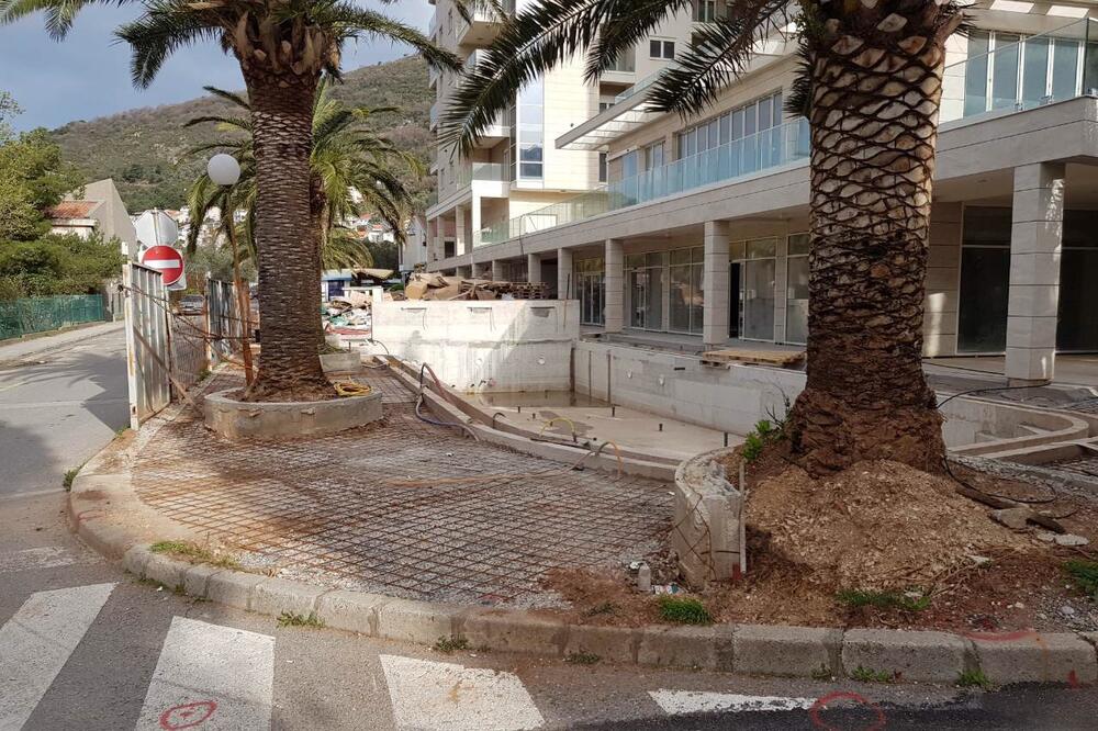 bazen, Petrovac, Foto: Privatna arhiva